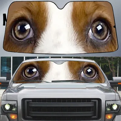 Basset Hound's Eyes Beautiful Dog Eyes Car Sun Shade Cover Auto Windshield