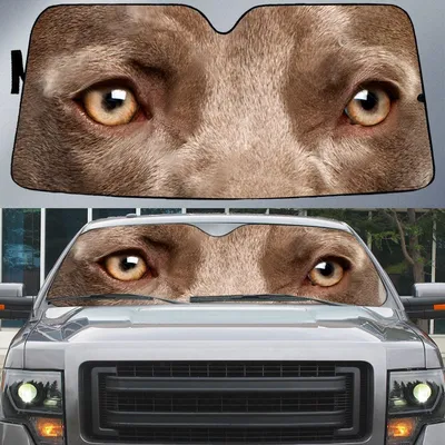 Weimaraner's Eyes Beautiful Dog Eyes Car Sunshade Cover Auto Windshield