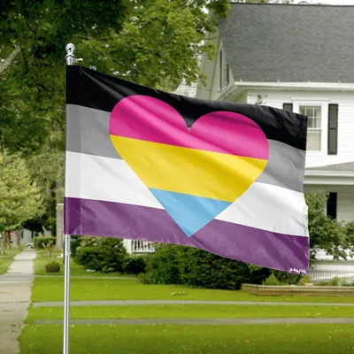 Asexual Pansexual Heart Ace Pan Pride Combination House Flag Lgbtq+ Identity Decor Horizontal House Flag