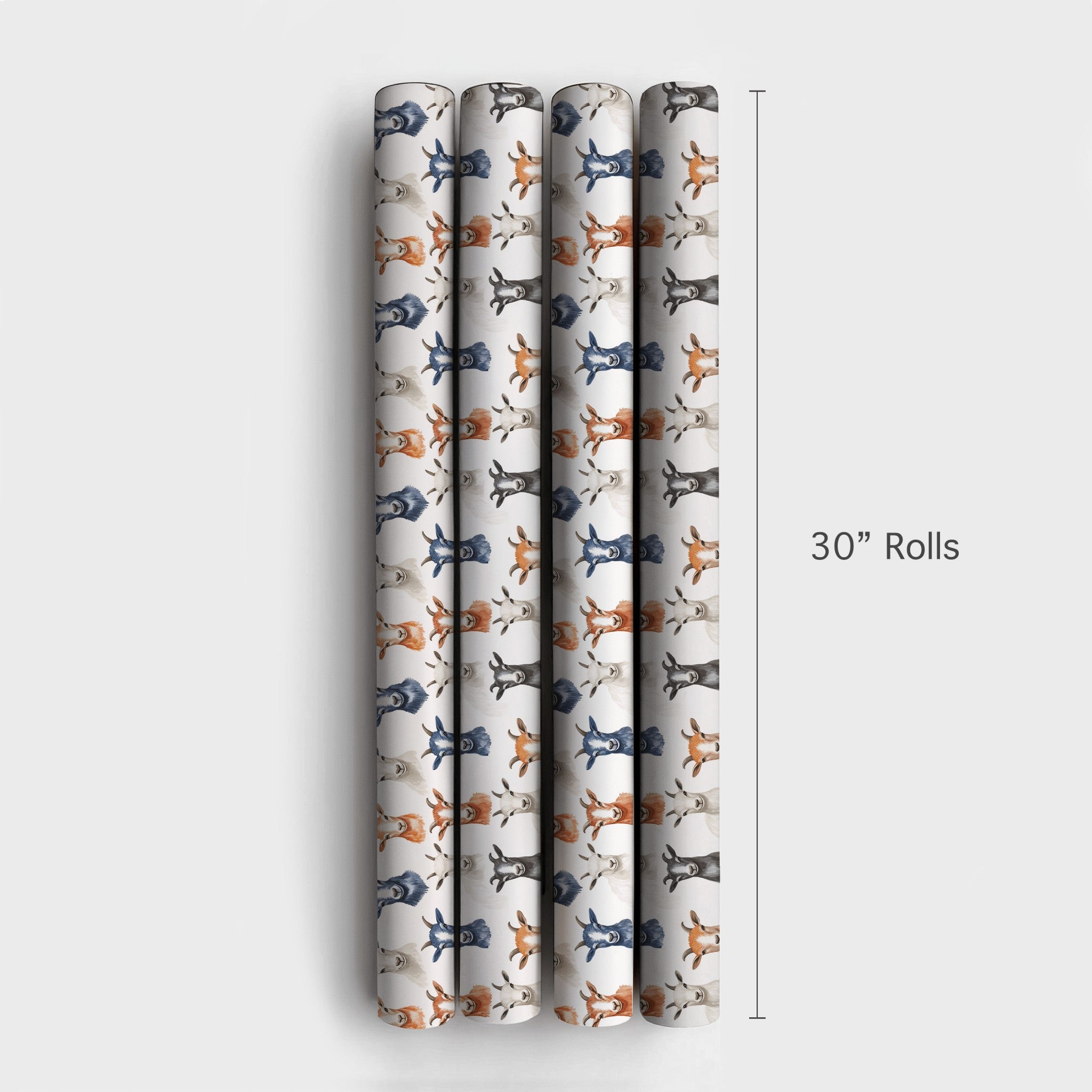 Product 4