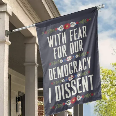 With Fear For Our Democracy I Dissent Stop Project 2025 Democrat Flag, House Flag Decoration Vertical House Flag