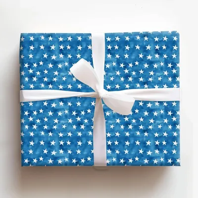 Indivisible - Gift Wrap for Christmas, Holidays Wrapping Paper, Christmas Wrapping Paper