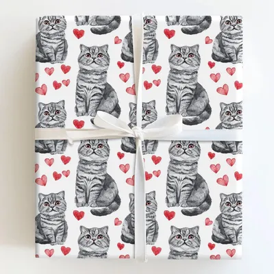 Scottish Fold Valentine - Gift Wrap for Christmas, Holidays Wrapping Paper, Christmas Wrapping Paper