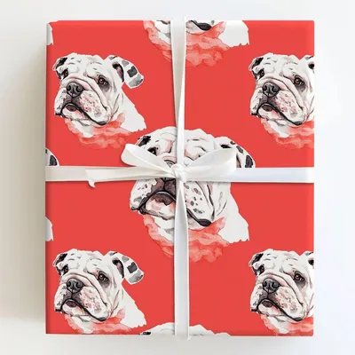 Bulldog Bite - Gift Wrap for Christmas, Holidays Wrapping Paper, Christmas Wrapping Paper