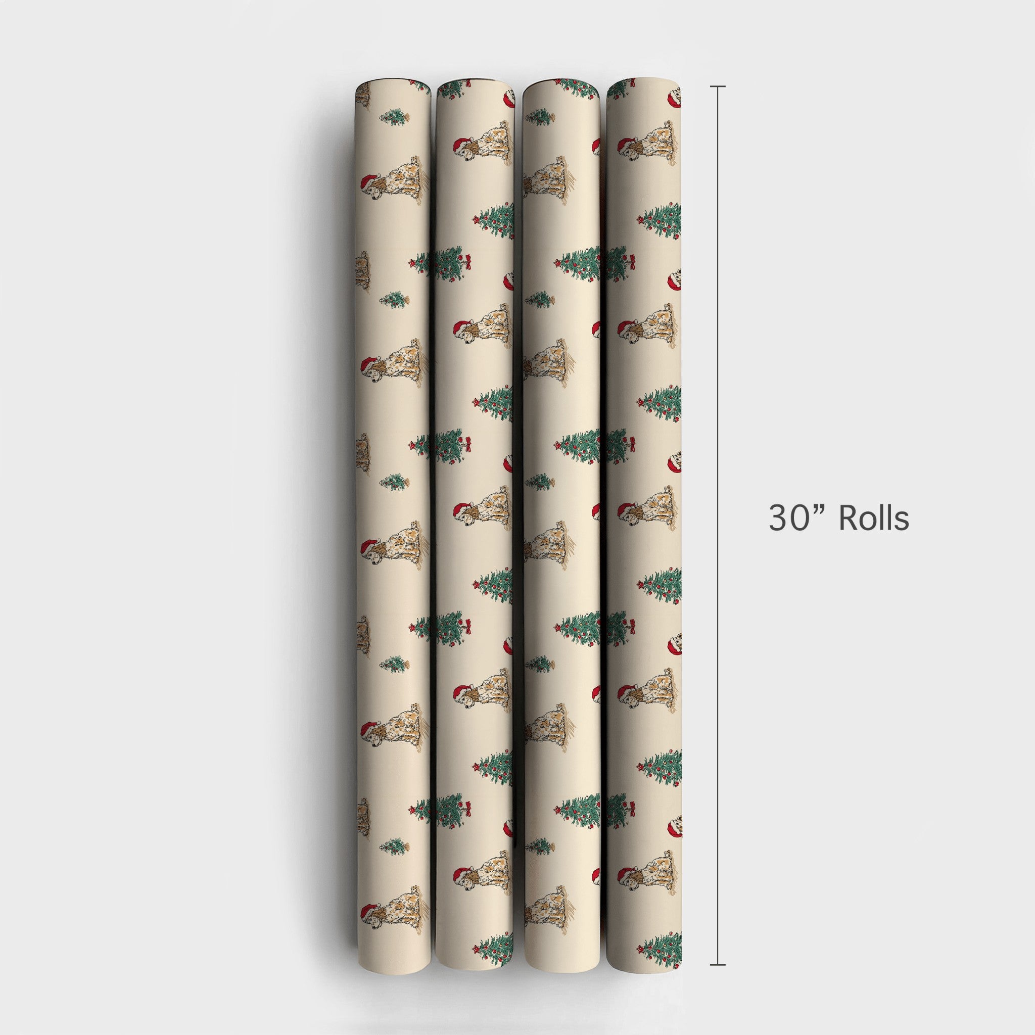 Product 6