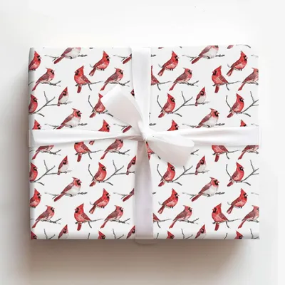 First Place Feathers - Gift Wrap for Christmas, Holidays Wrapping Paper, Christmas Wrapping Paper