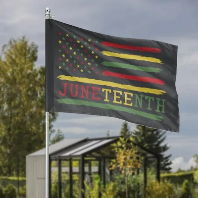 Juneteenth Celebration Freedom Day Garden Flag, Red Yellow Green Pan-African Colors Yard Banner, Distressed Us Style Vertical Outdoor Decor Horizontal Garden Flag
