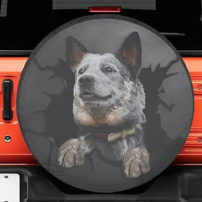 Blue Heeler Cracked Spare Tire Cover , Australian Cattle Dog Wheel Covers Spare Tire Cover
