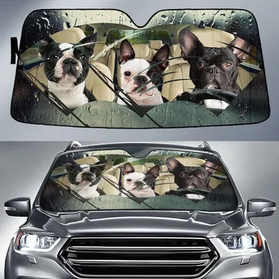 Boston Terrier Rainy Driving Car Sun Shade Cover Auto Windshield PrintSyde