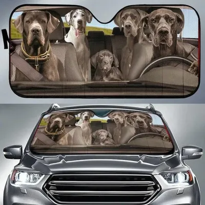 Great Dane Dogs Auto Car Sunshade, Cute Dog Family Car Sun Shades Cover