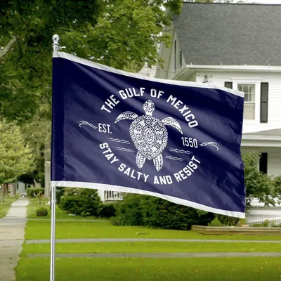 The Gulf Of Mexico Turtle Horizontal House Flag , Ocean Coastal Design Stay Salty Resist Sea Life Marine Conservation Outdoor Decorative Banner Horizontal House Flag