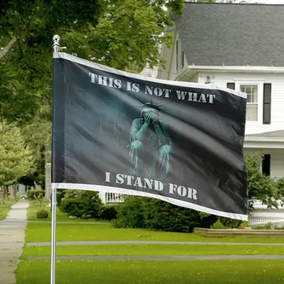 This Is Not What I Stand For Horizontal House Flag, Statue Of Liberty Sad Design, Political Protest Patriotic Flag Horizontal House Flag