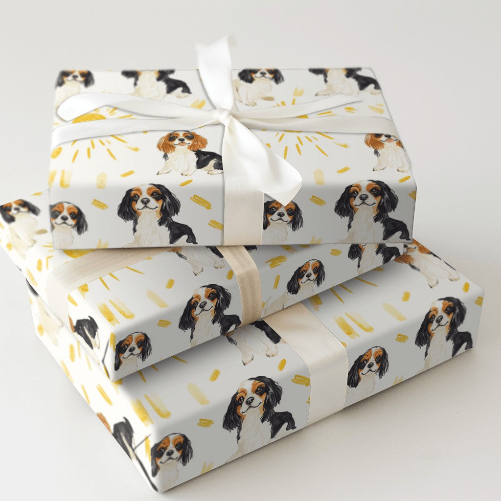 Product 5