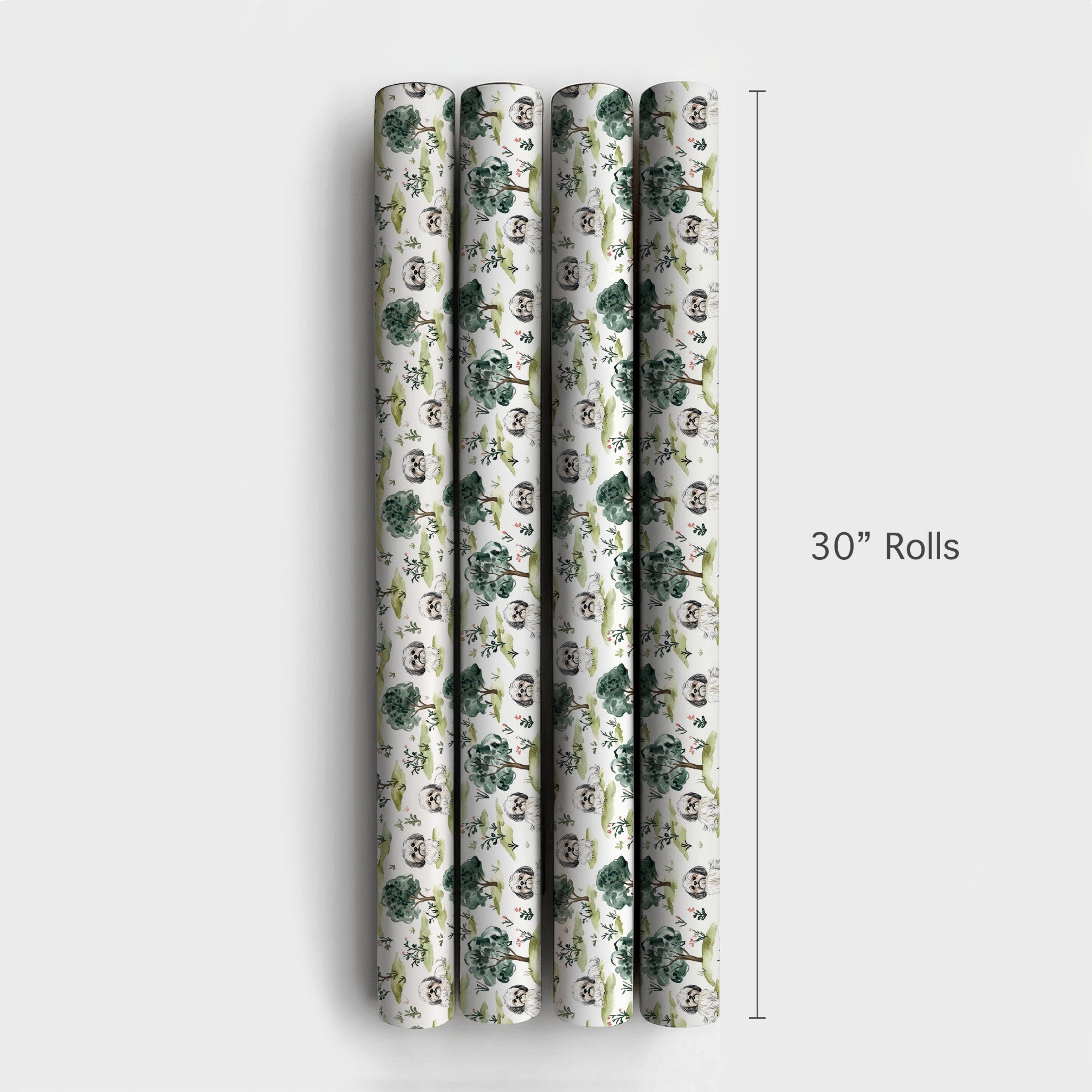 Product 4