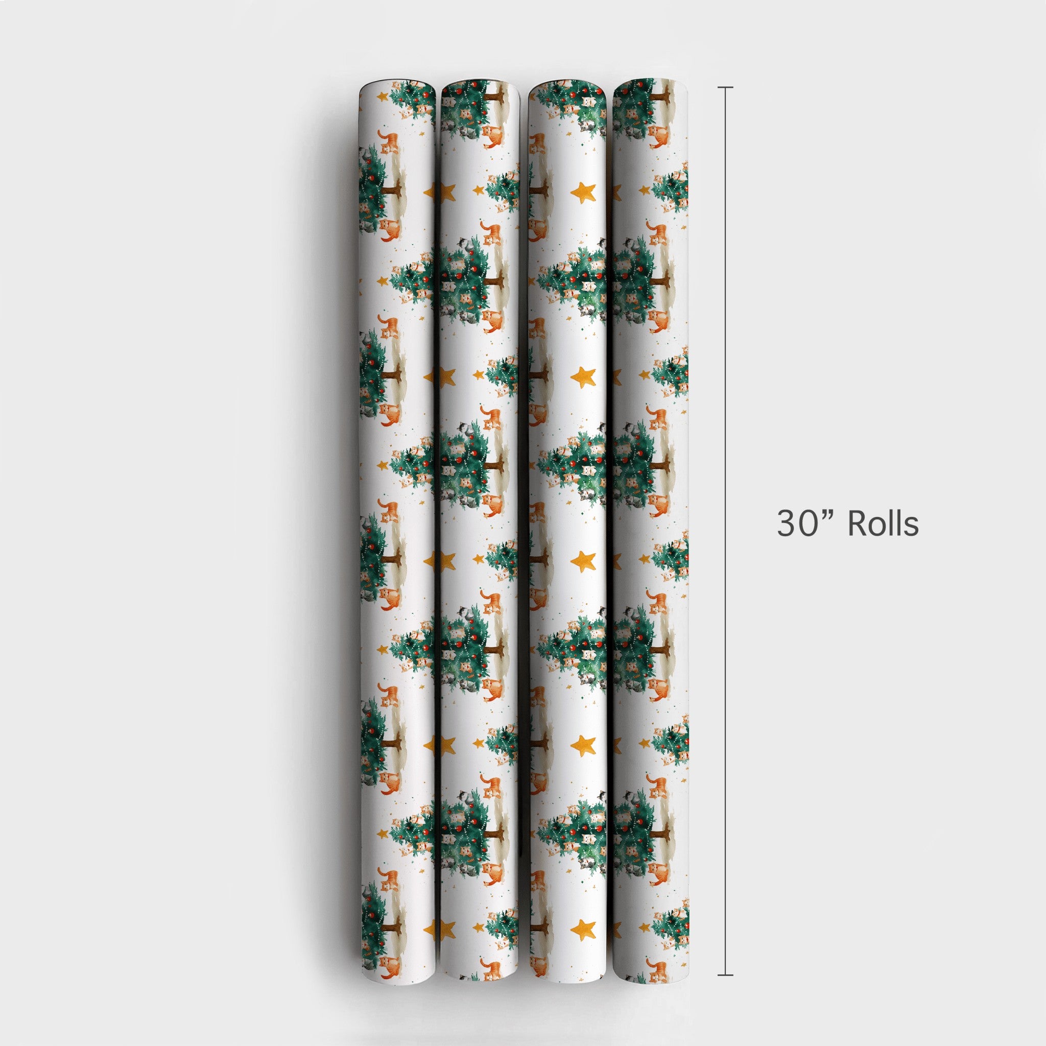 Product 6
