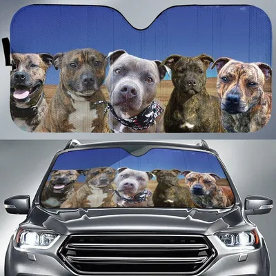 Staffie Brindle For Dog Lovers Printed Car Sun Shade Cover Auto Windshield PrintSyde