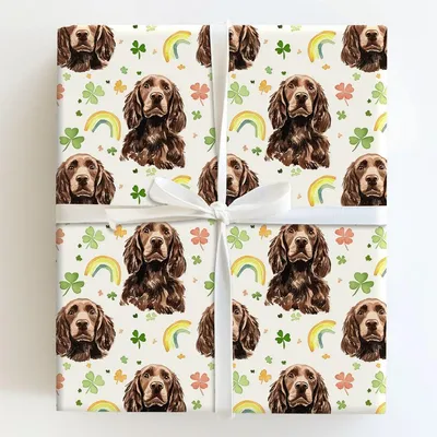 Rainbows with the Boykin Spaniel - Gift Wrap for Christmas, Holidays Wrapping Paper, Christmas Wrapping Paper