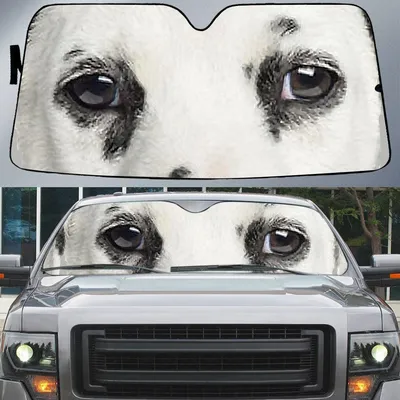 Cool Dalmatian's Eyes Beautiful Dog Eyes Car Sun Shade Cover Auto Windshield