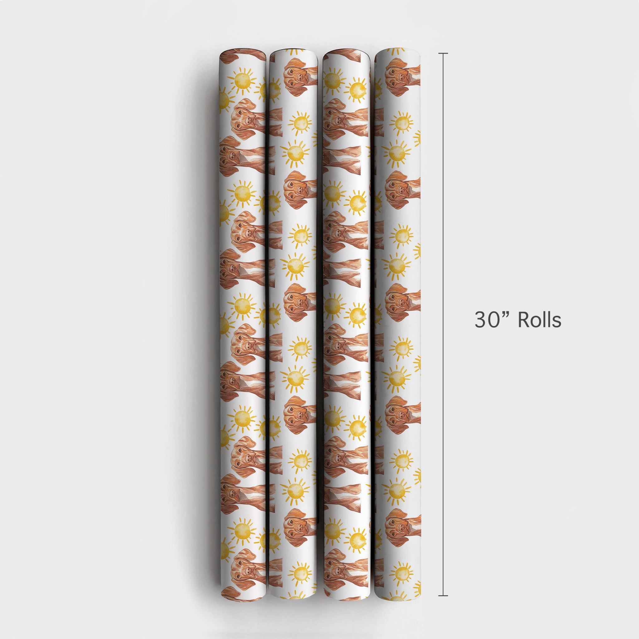 Product 4