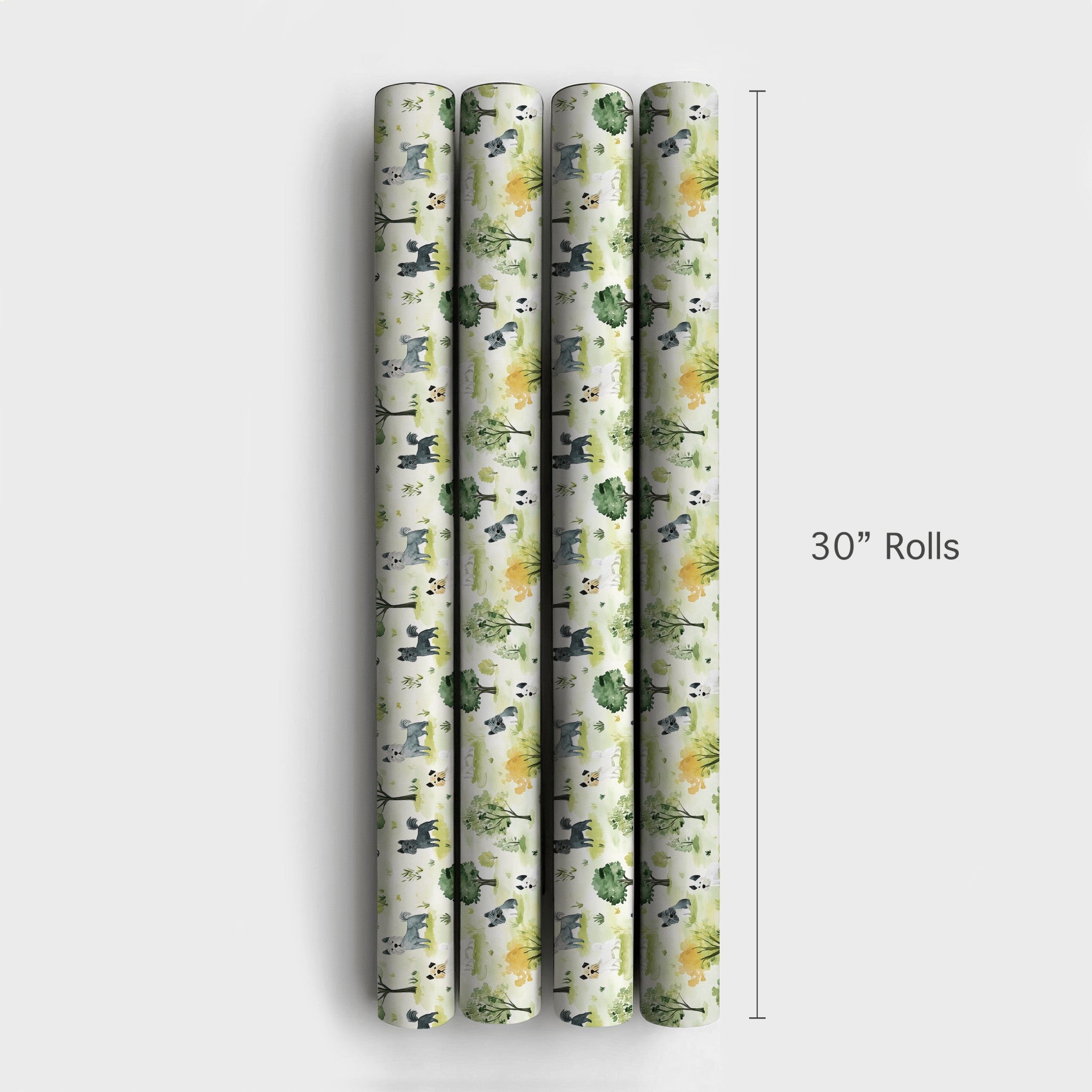 Product 4