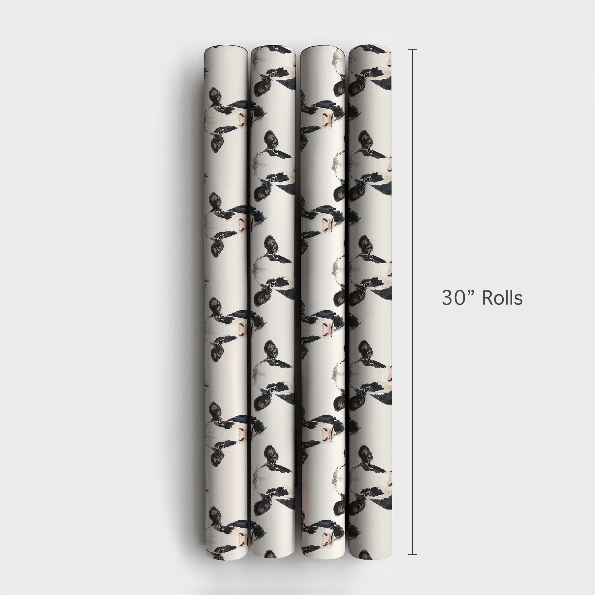 Product 4