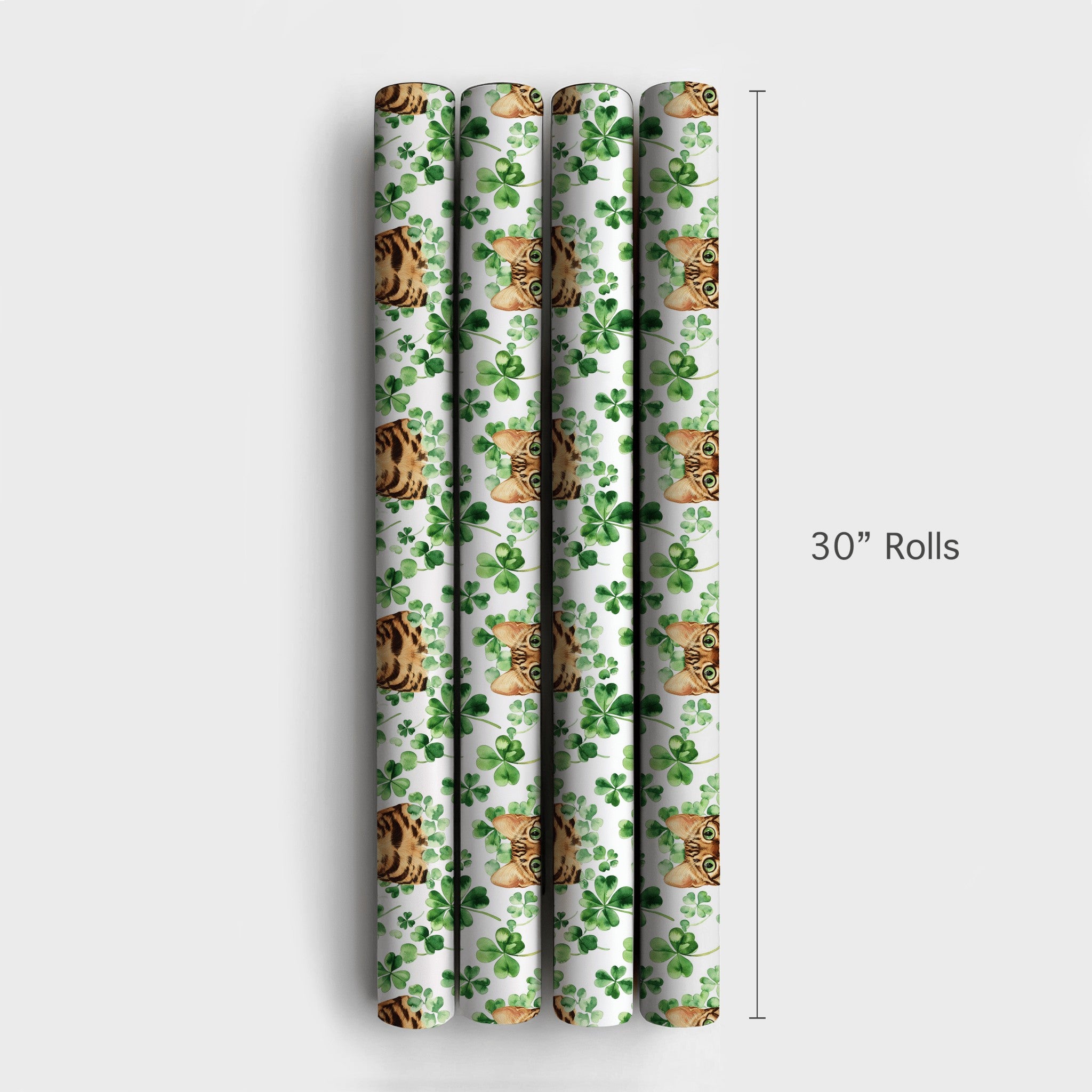Product 4