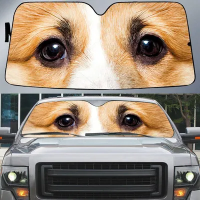 Welsh Corgi's Eyes Beautiful Dog Eyes Car Sun Shade Cover Auto Windshield