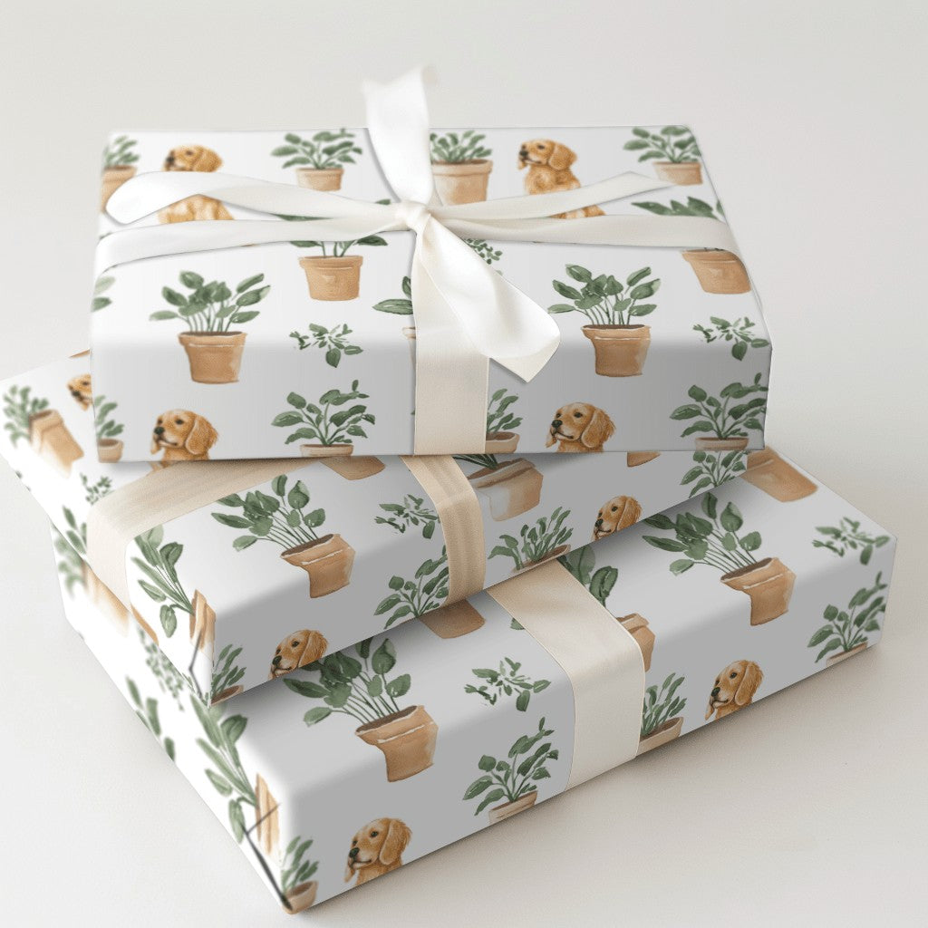 Product 5