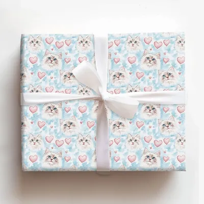 American Wirehair Valentine - Gift Wrap for Christmas, Holidays Wrapping Paper, Christmas Wrapping Paper