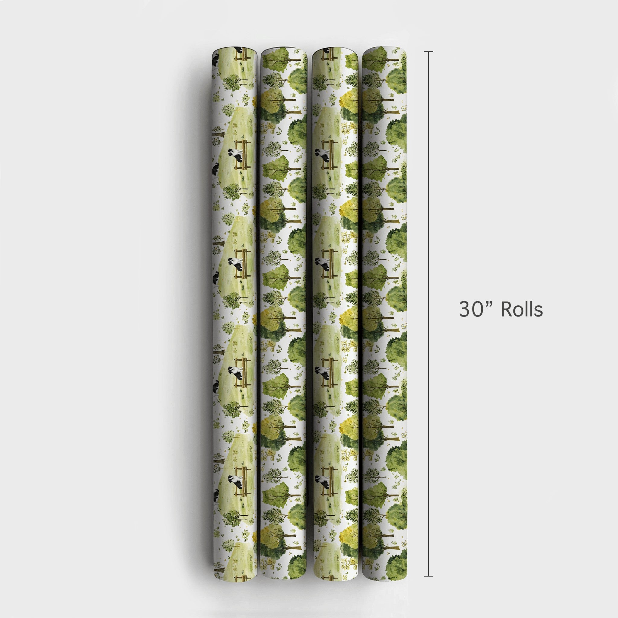 Product 4