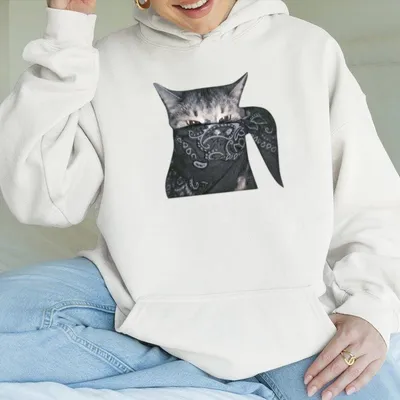 Funny Animal Vintage Graphic Hoodie Outlaw Cat Hoodie Animal Hoodie Unisex Meme Cringe Funny Hoodie Menswear Womenswear