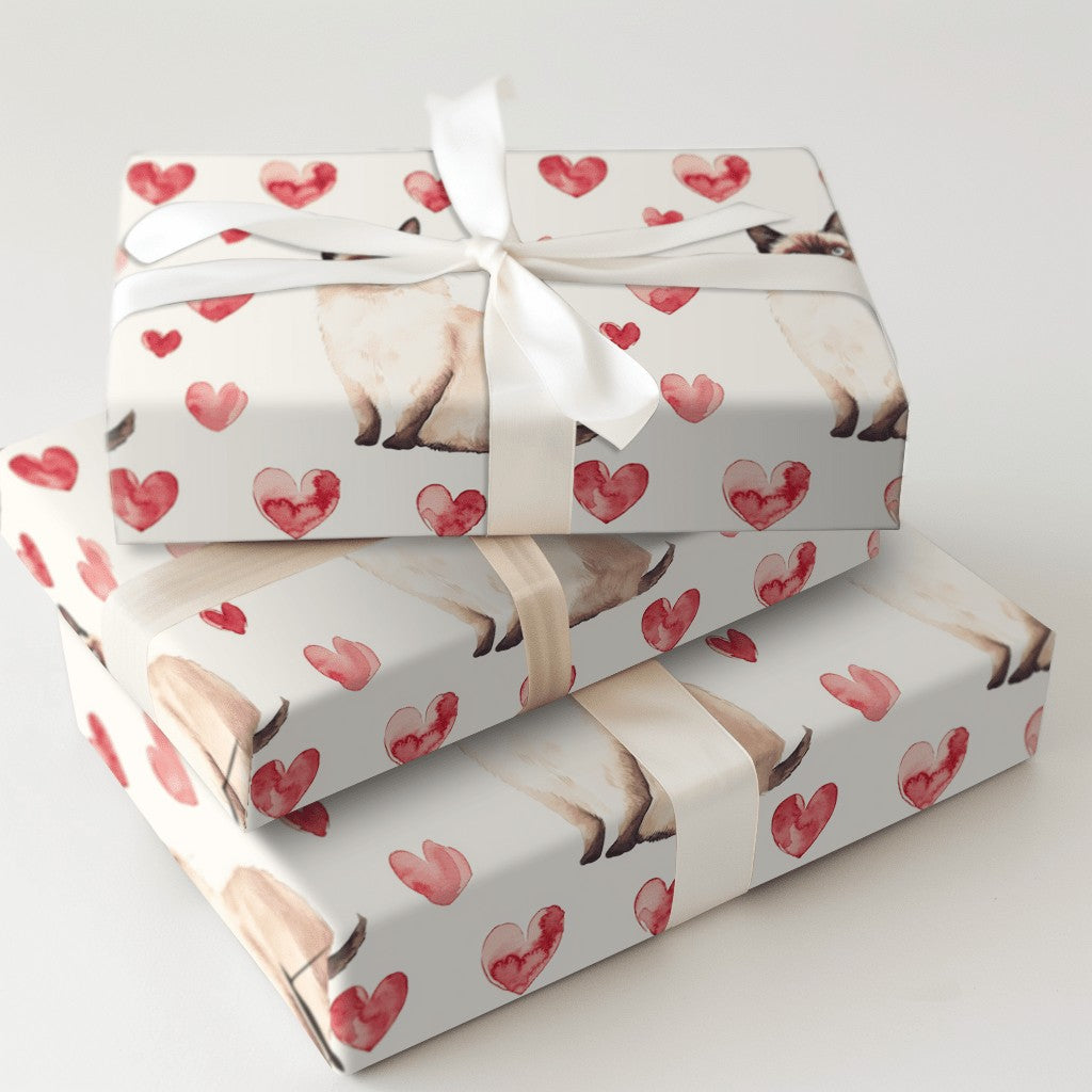 Product 5