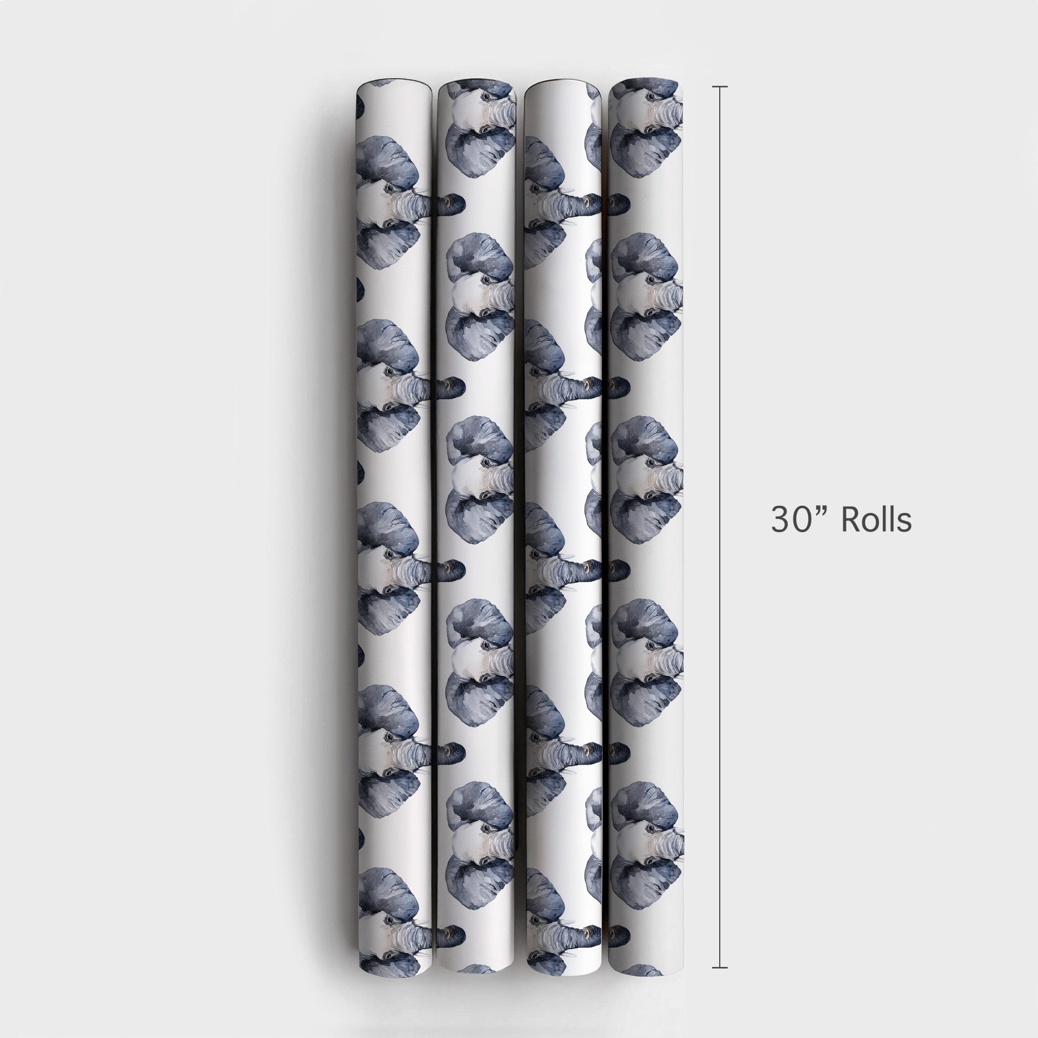 Product 4