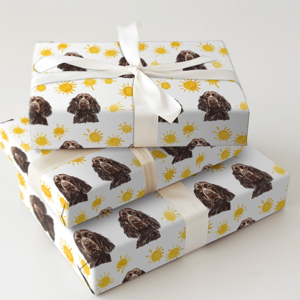 Product 5