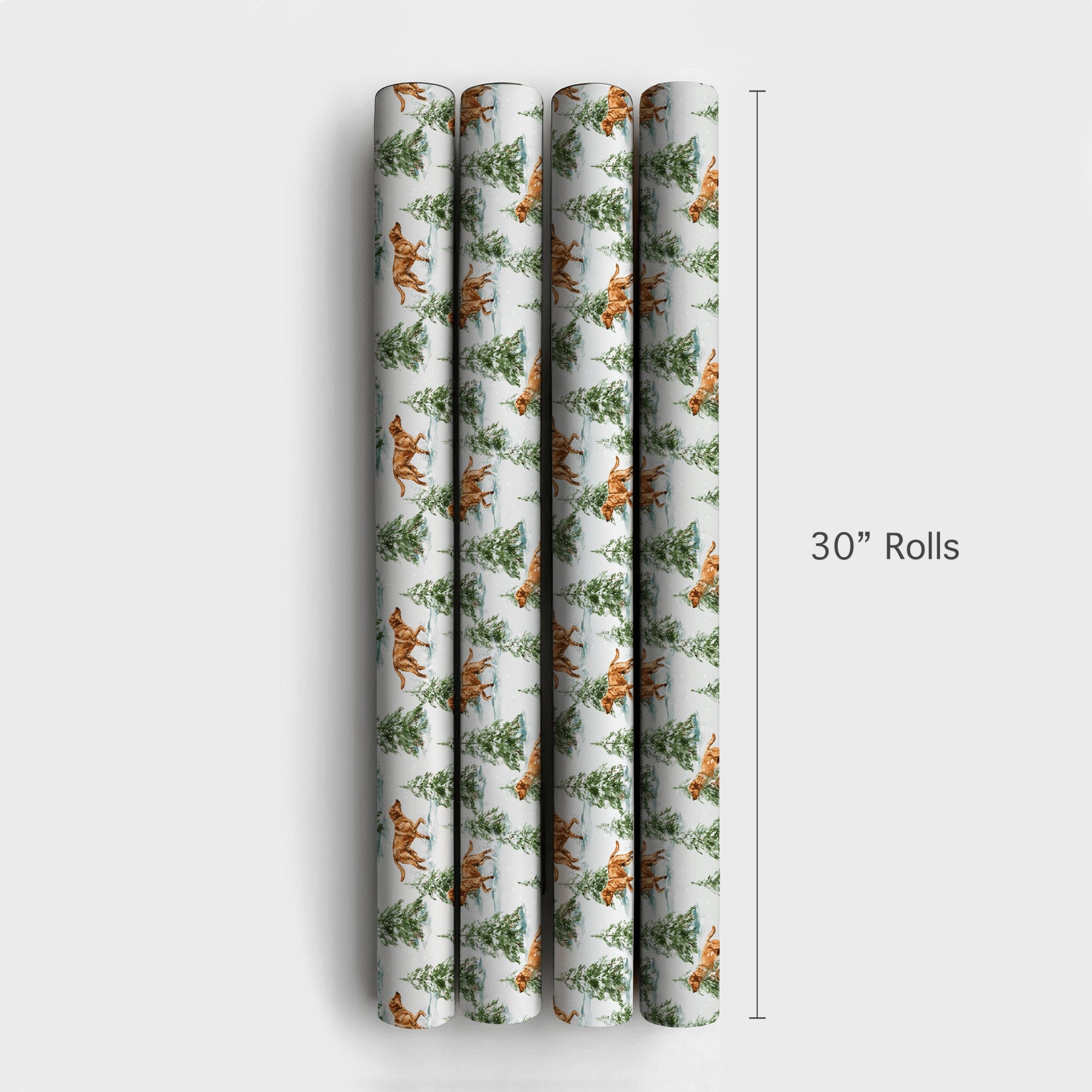Product 6