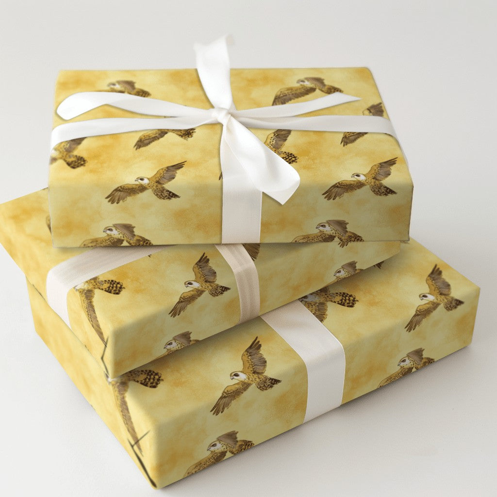 Product 5