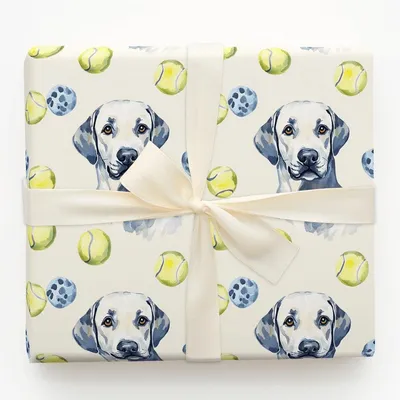 Lab of the Game - Gift Wrap for Christmas, Holidays Wrapping Paper, Christmas Wrapping Paper