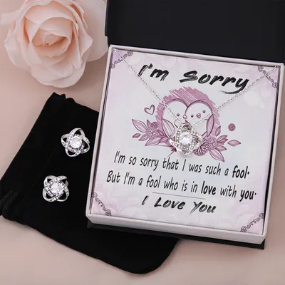 I'm Sorry Gift Necklace, I Was Such a Fool Message Card Necklace and Earring Set