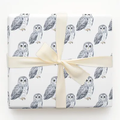A Wise Win - Gift Wrap for Christmas, Holidays Wrapping Paper, Christmas Wrapping Paper