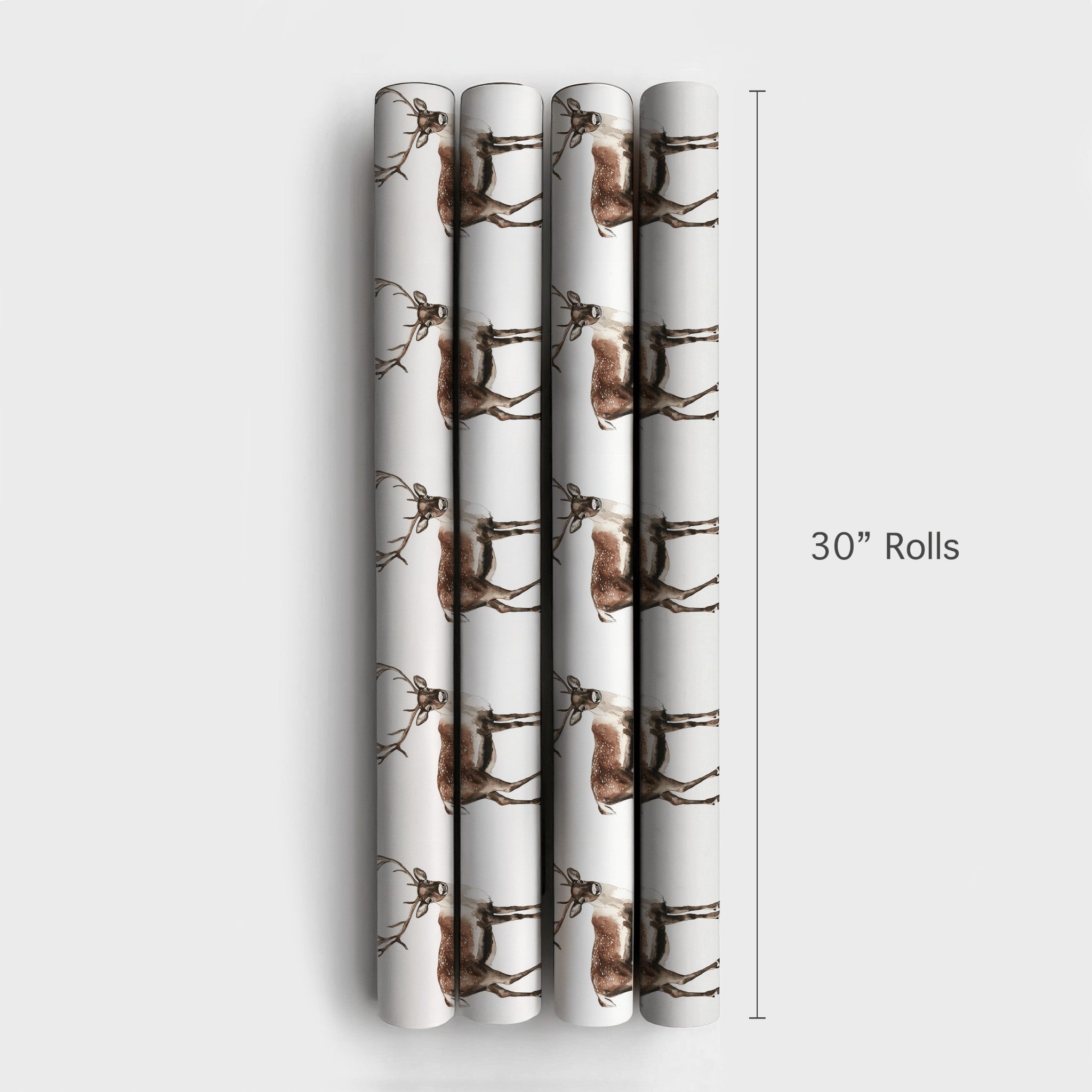 Product 4