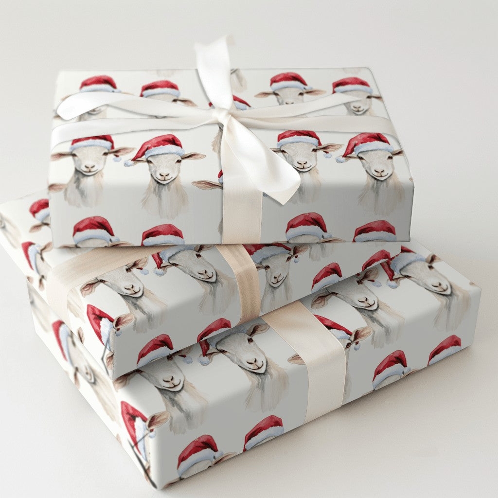 Product 7