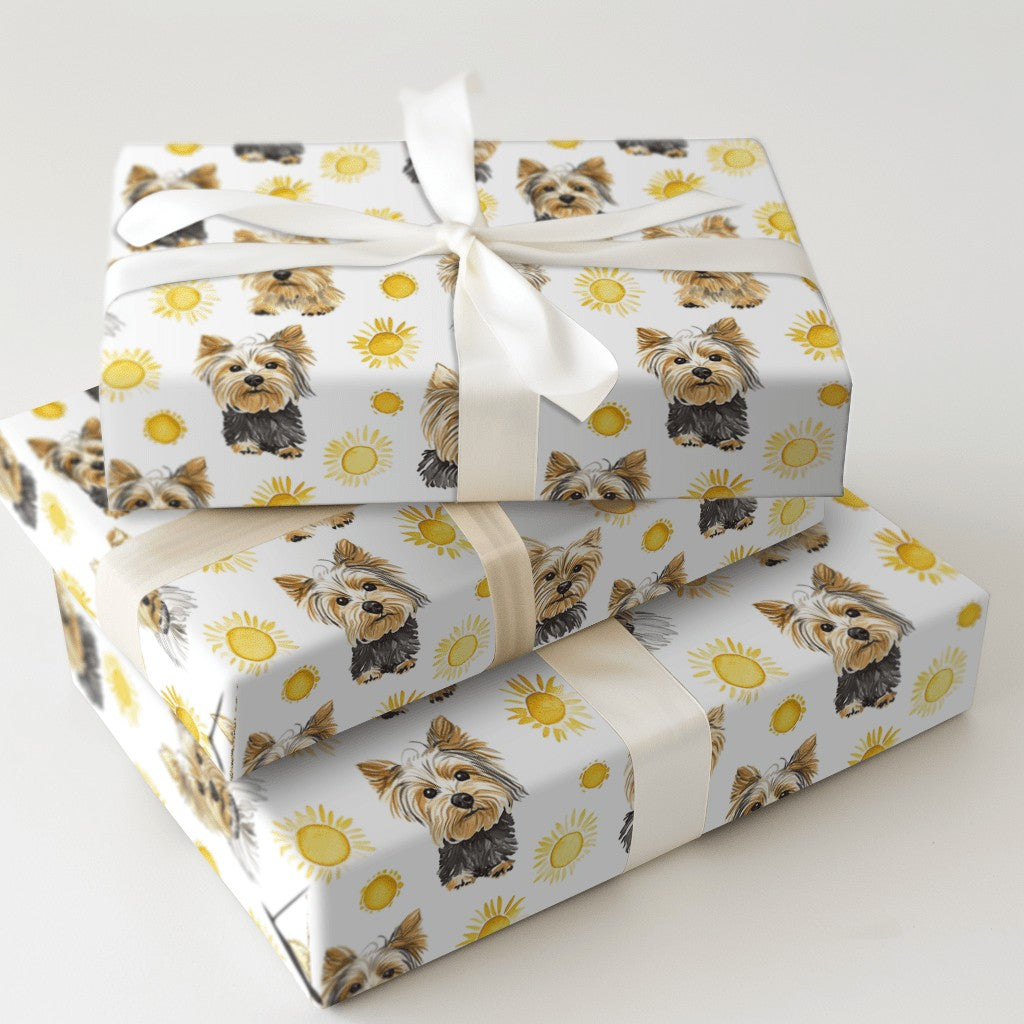 Product 5
