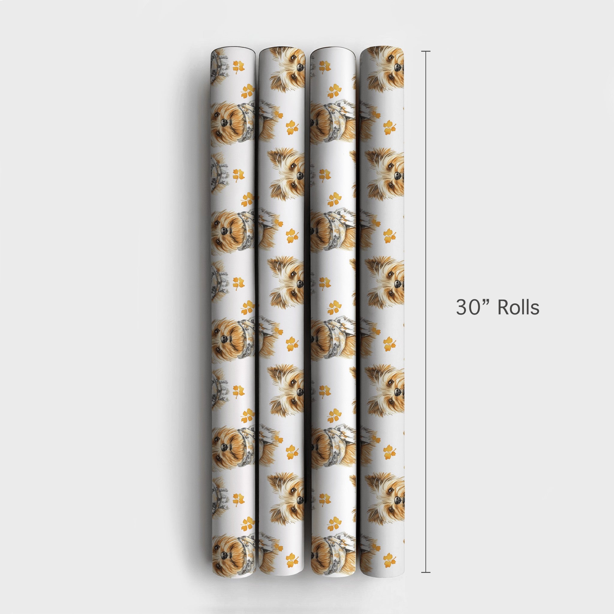 Product 4