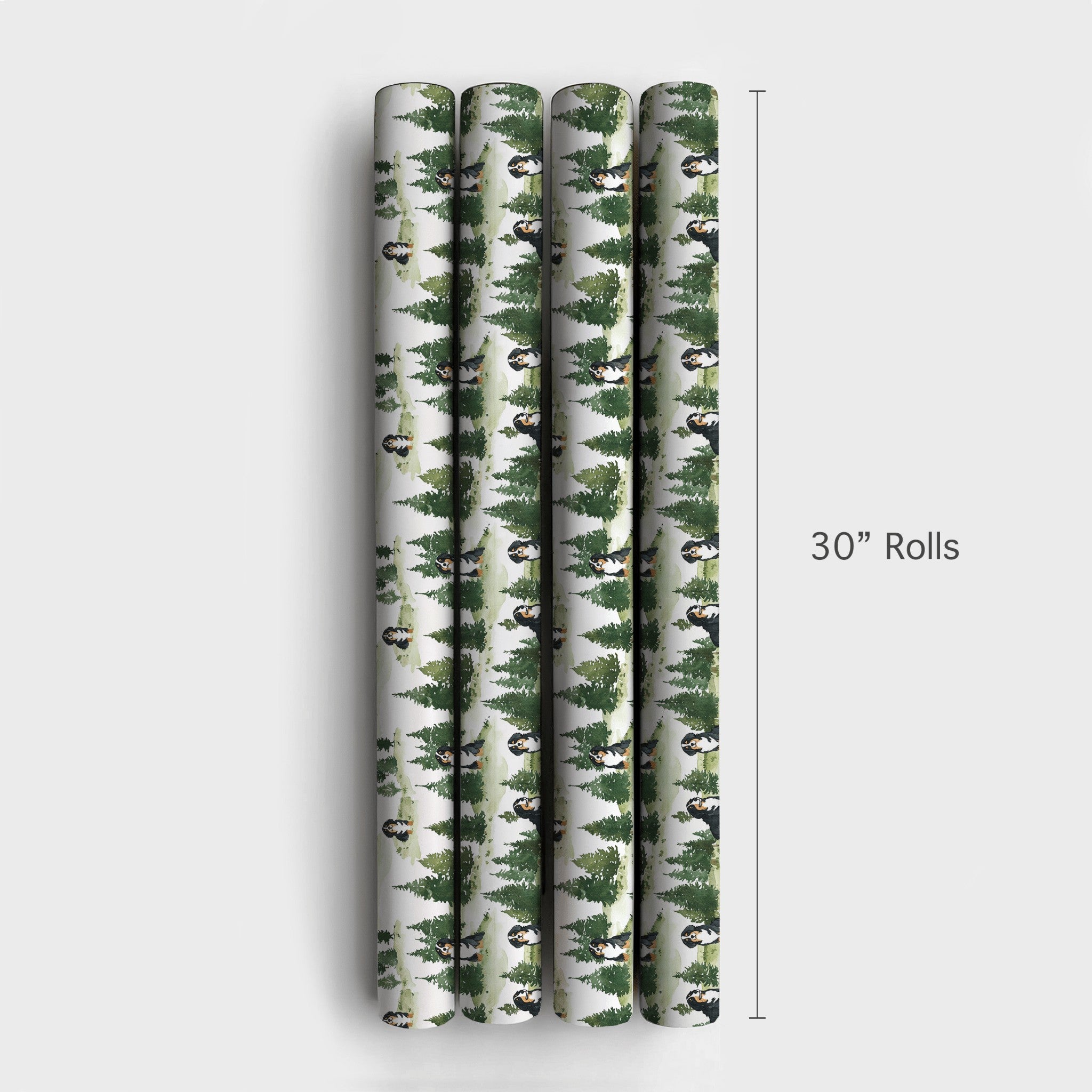 Product 4