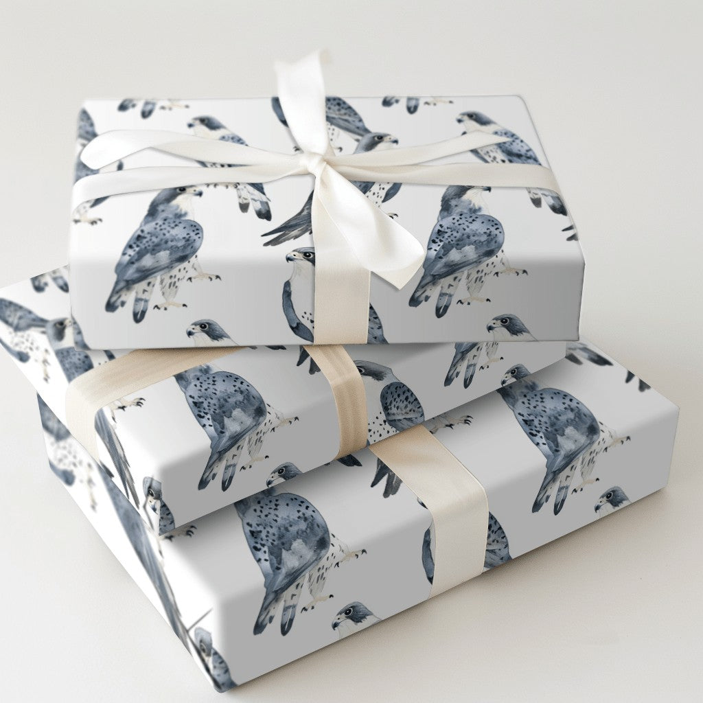 Product 5