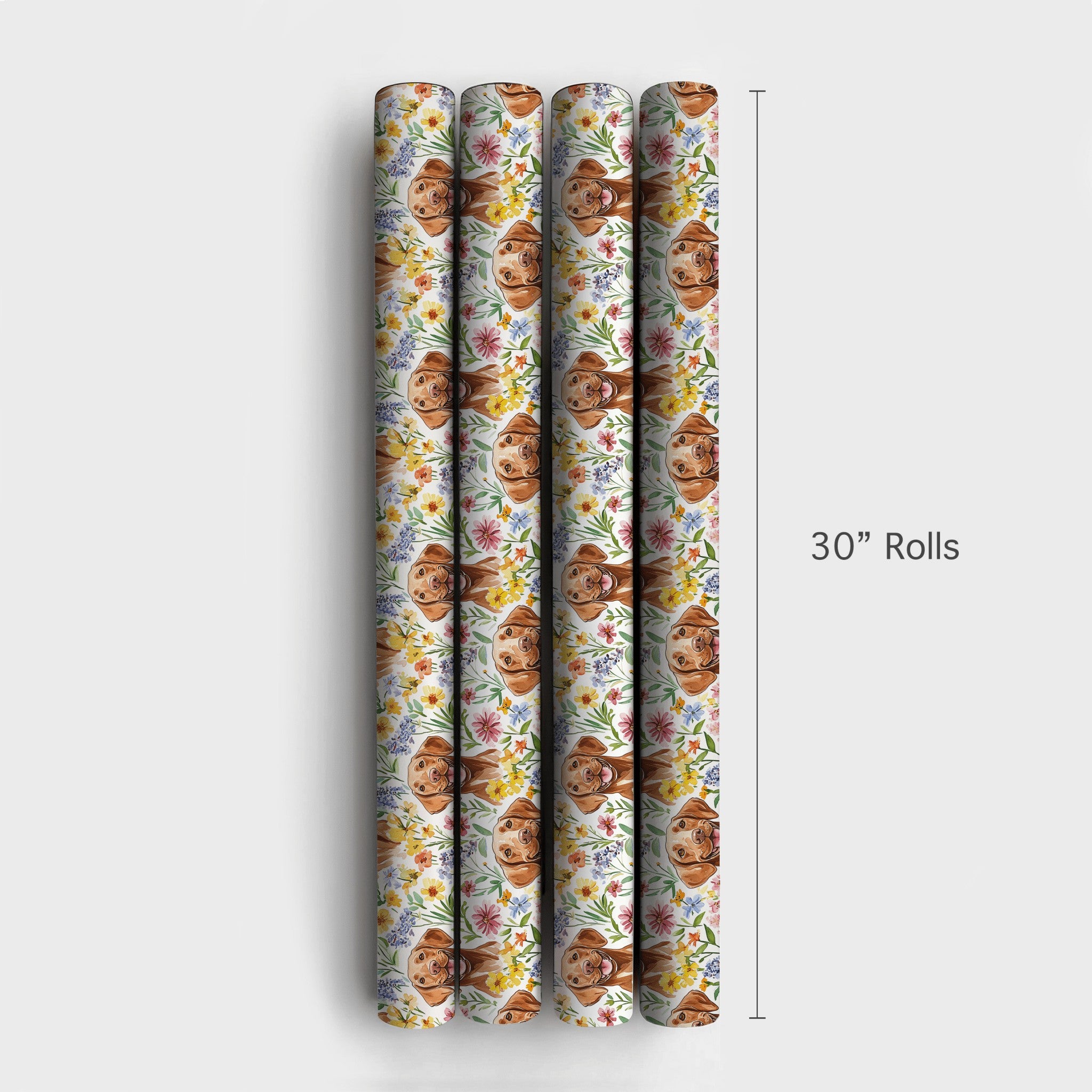 Product 4