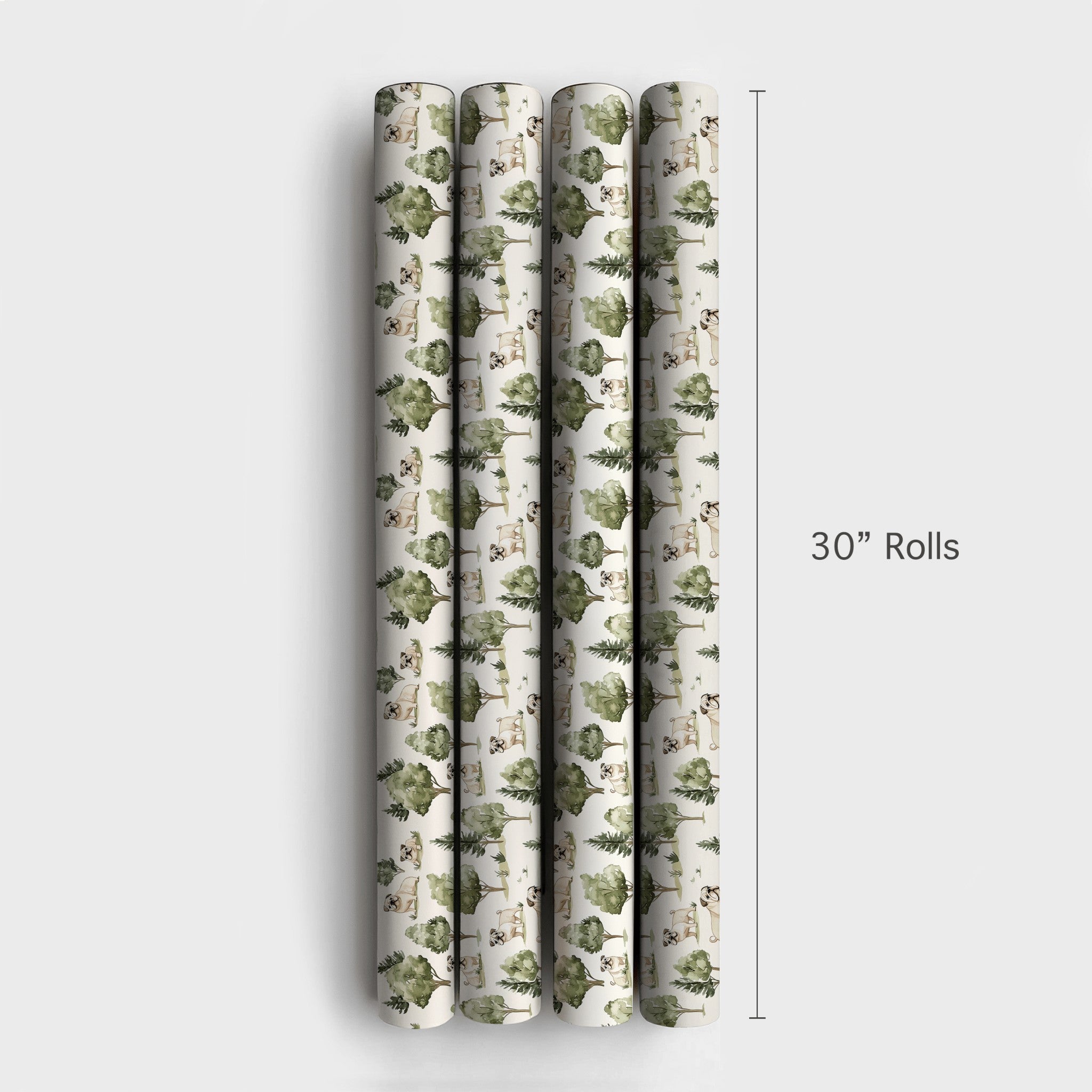 Product 4