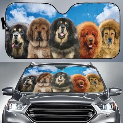 Tibetan Mastiff Five Colored Dog Printed Car Sun Shade Cover Auto Windshield PrintSyde