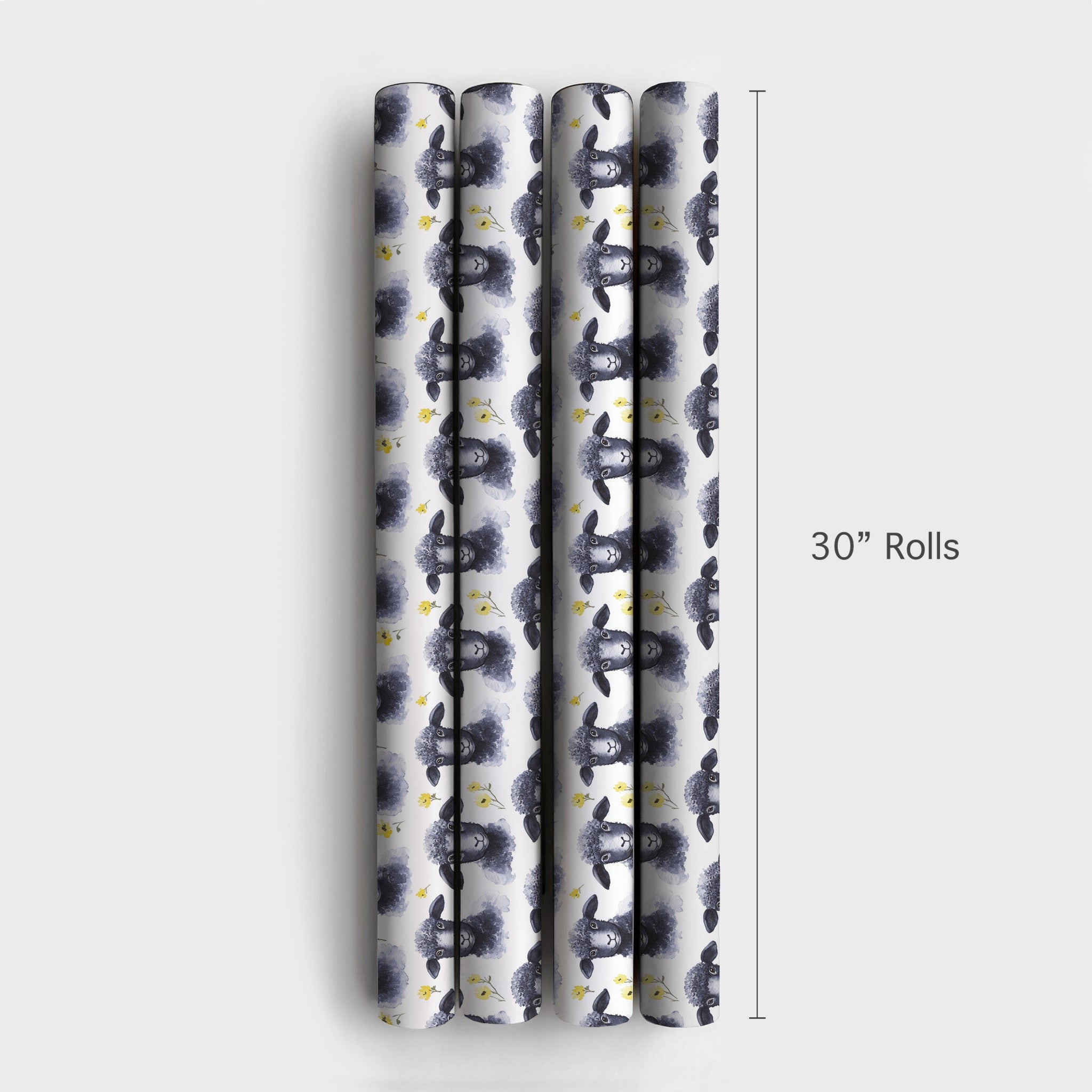 Product 4