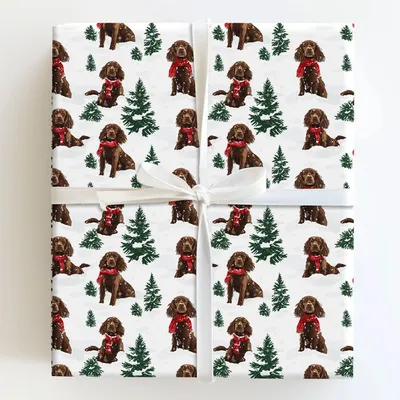 Snow Day for Boykin Spaniel - Gift Wrap for Christmas, Holidays Wrapping Paper, Christmas Wrapping Paper